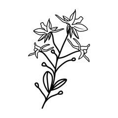 Larkspur Floral Hand Drawn. Vector Design Illustration Sign.