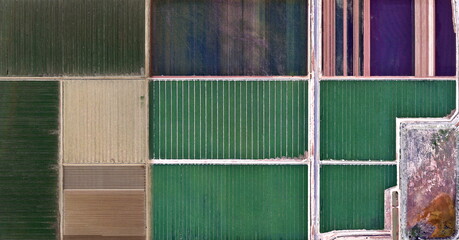 agricultural composition,  United States, abstract photography of relief drawings in  fields in the...
