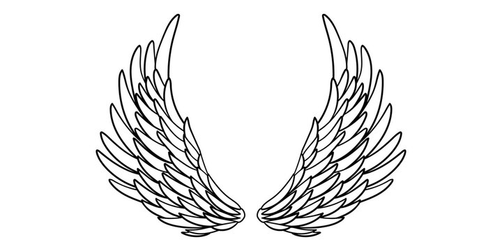 Angel or bird wings abstract sketch isolated on white. vector doodle illustration. For your design