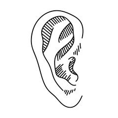 Hand Drawn Ear Sketch Symbol. Vector Listen Element In doodle Style isoleted on white.