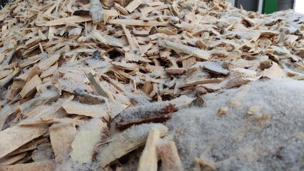 Alternative fuel, ecological fuel, biofuel Wood sawdust, sawdust close-up background. Sawdust texture
