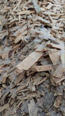 Alternative fuel, ecological fuel, biofuel Wood sawdust, sawdust close-up background. Sawdust texture
