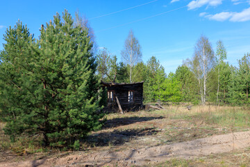 abandoned wooden houses Chernobyl zone