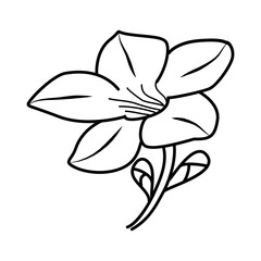 Alamanda Flower Floral Hand Drawn. Vector Design Illustration Sign.