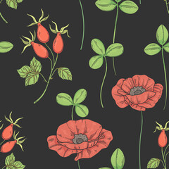 Seamless pattern with field poppies and rose hips