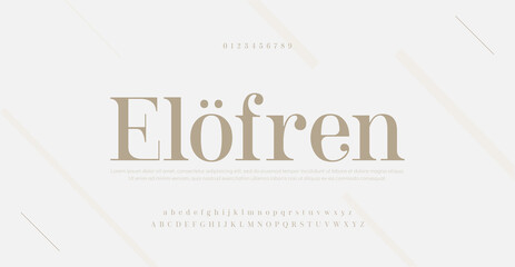 Elegant modern alphabet letters font and number. Classic Lettering Minimal Fashion Designs. Typography serif fonts regular decorative vintage concept. vector illustration