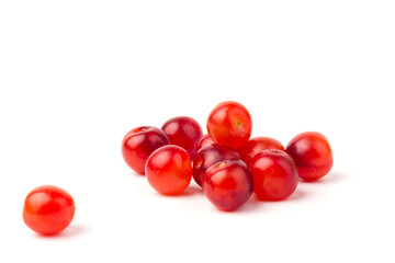 Nanking or felted cherry fruits, isolated on  white background