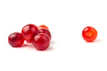 Nanking or felted cherry fruits, isolated on  white background