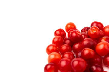 Nanking or felted cherry fruits, isolated on  white background