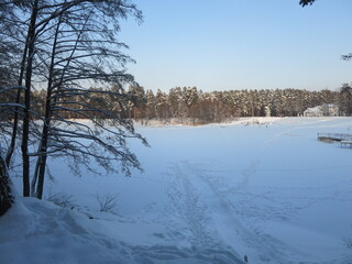 Winter park, snow, pine trees.