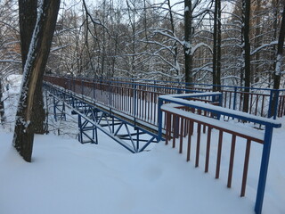 Winter park, snow, pine trees.