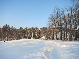Winter park, snow, pine trees.