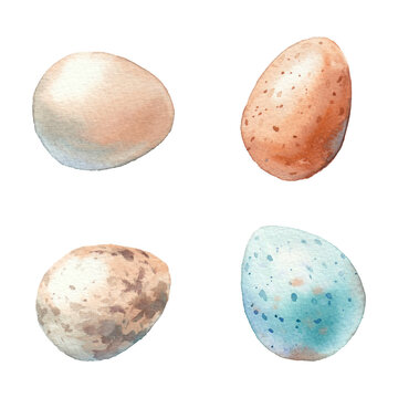Easter eggs set. Watercolor objects isolated on white background