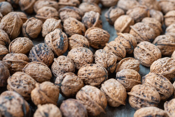 Fresh walnuts that have not yet been dried