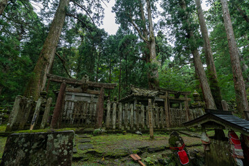 高野山・奥の院の墓石群
