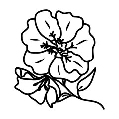 Geranium Flower Floral Hand Drawn. Vector Design Illustration Sign.