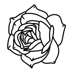 Rose Flower Floral Hand Drawn. Vector Design Illustration Sign.