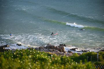A woman crossing the waves in the shore break with the pink surfboard