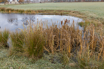 Hiller Torfmoor im Winter, NRW