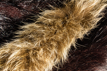  fur and leather
