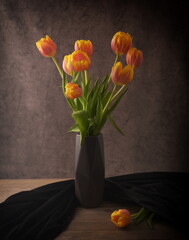 Tulip. Still life, flowers of tulips in vase. Valentines day card.  