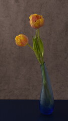 Tulip. Still life, flowers of tulips in vase. Valentines day card.  