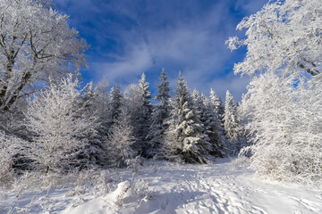 Winterliche Landschaft