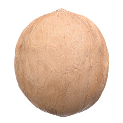 healthy, nutritious, whole walnut on white isolated background, macro