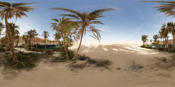 VR360 view of palm oasis in desert