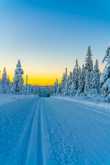 Cross country skiing slope running through a snow covered frozen forest at dusk.