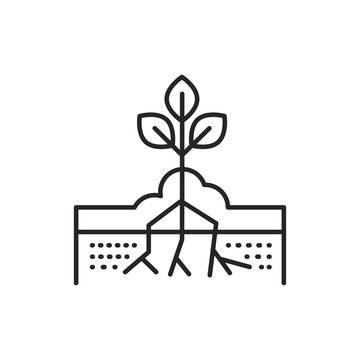 plant growing roots black line art clip art preview