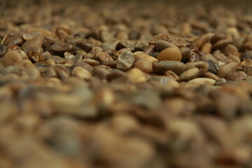 Pebble stones, light brown, for garden decoration and design, with a focus strip on the horizontal line in the center.