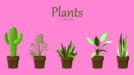 Beautiful set of vector flat Plants