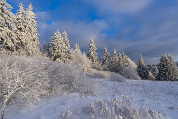 Winterliche Landschaft
