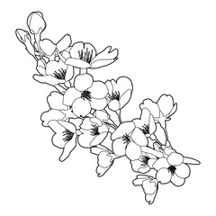クローバー 水彩素材 リース サークル 背景素材 Wall Mural Pp7 クローバー 水彩素材 リース サークル 背景素材 Wall Mural Pp7