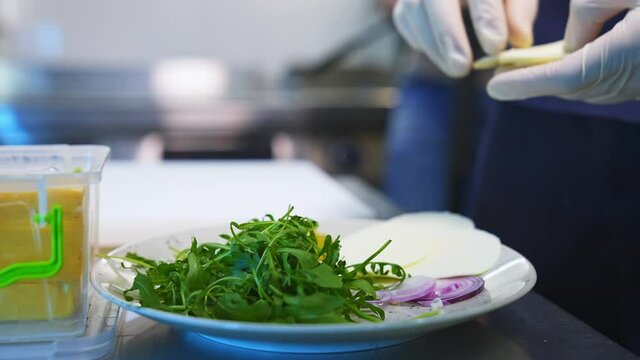 Arugula, cheese and onion on plate. Ingredients for tasty salad. Closeup.