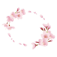 桜の花と花びら 丸い飾り枠 イラスト素材