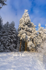 Winterliche Landschaft