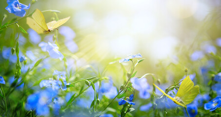 art abstract spring background with fresh flowers and flying butterflies