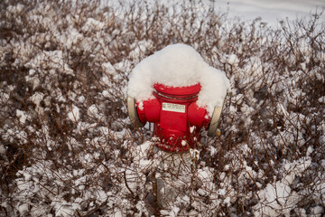 czerwony hydrant pokryty śniegiem  - obrazy, fototapety, plakaty