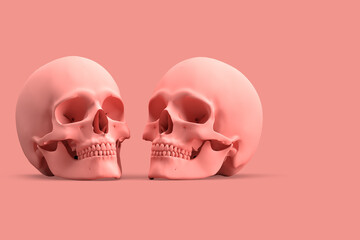 Minimalistic illustration of pair of human skull on pink background. 3D illustration