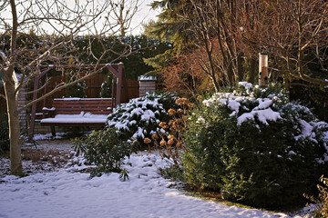 Winter in the garden - snow on plants