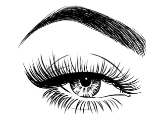 eye of the person