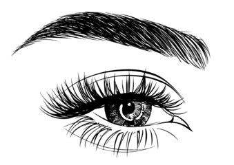 Obraz premium illustration of eye