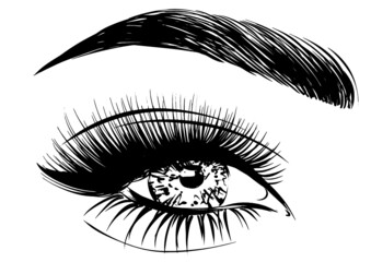 Obraz premium Woman eye with long lashes