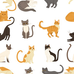 Fototapeta na wymiar Seamless pattern of cute cartoon animal design white brown and orange domestic cat adorable animal vector illustration