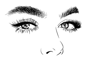 Fototapeta premium Woman's sexy luxurious eye with perfec eyebrows and full lashes
