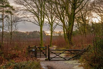 Devils Punch Bowl, Hindhead, Surrey