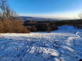 winter landscape in the mountains