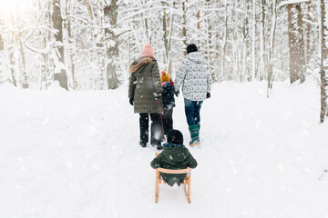 family fun in winter on a sled in the forest